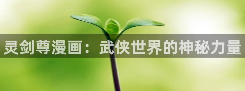 漫蛙漫画免费漫画入口页面高清：灵剑尊漫画：武侠世界的神秘力量
