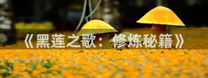 漫蛙3(zh)：《黑莲之歌：修炼秘籍》