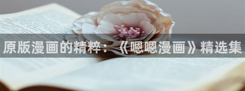 是漫蛙：原版漫画的精粹：《嗯嗯漫画》精选集