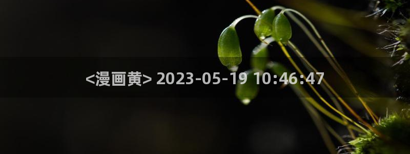 漫蛙台版入口：<漫画黄> 2023-05-19 10:46:47