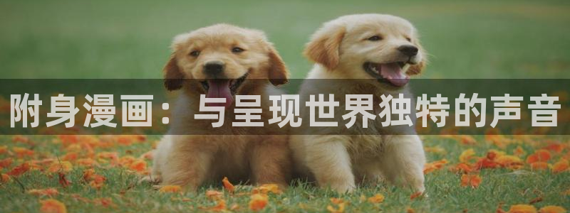 漫蛙进不去：附身漫画：与呈现世界独特的声音